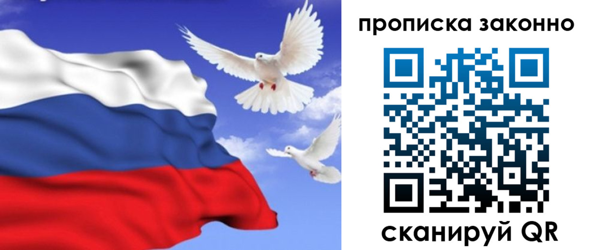 прописка в Зарайске